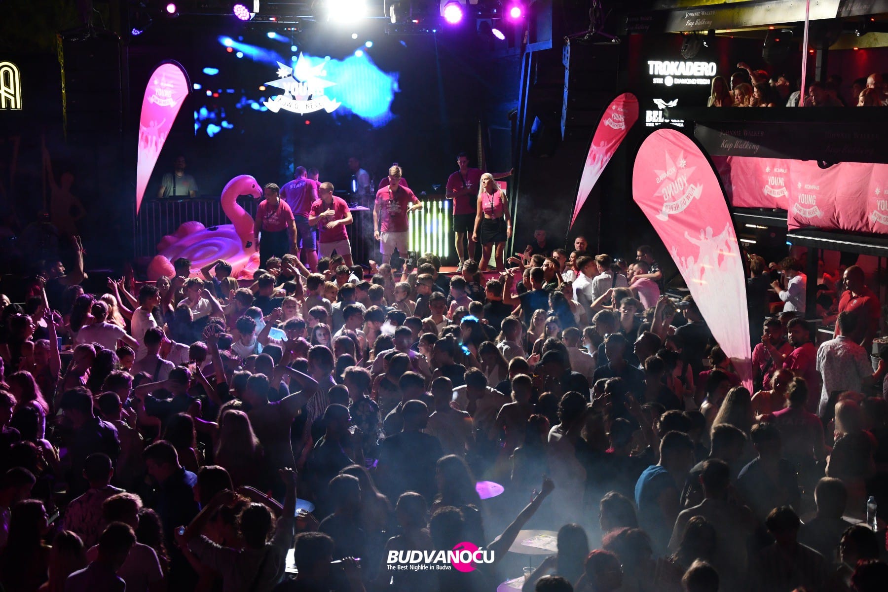 Compas Young | Cascada