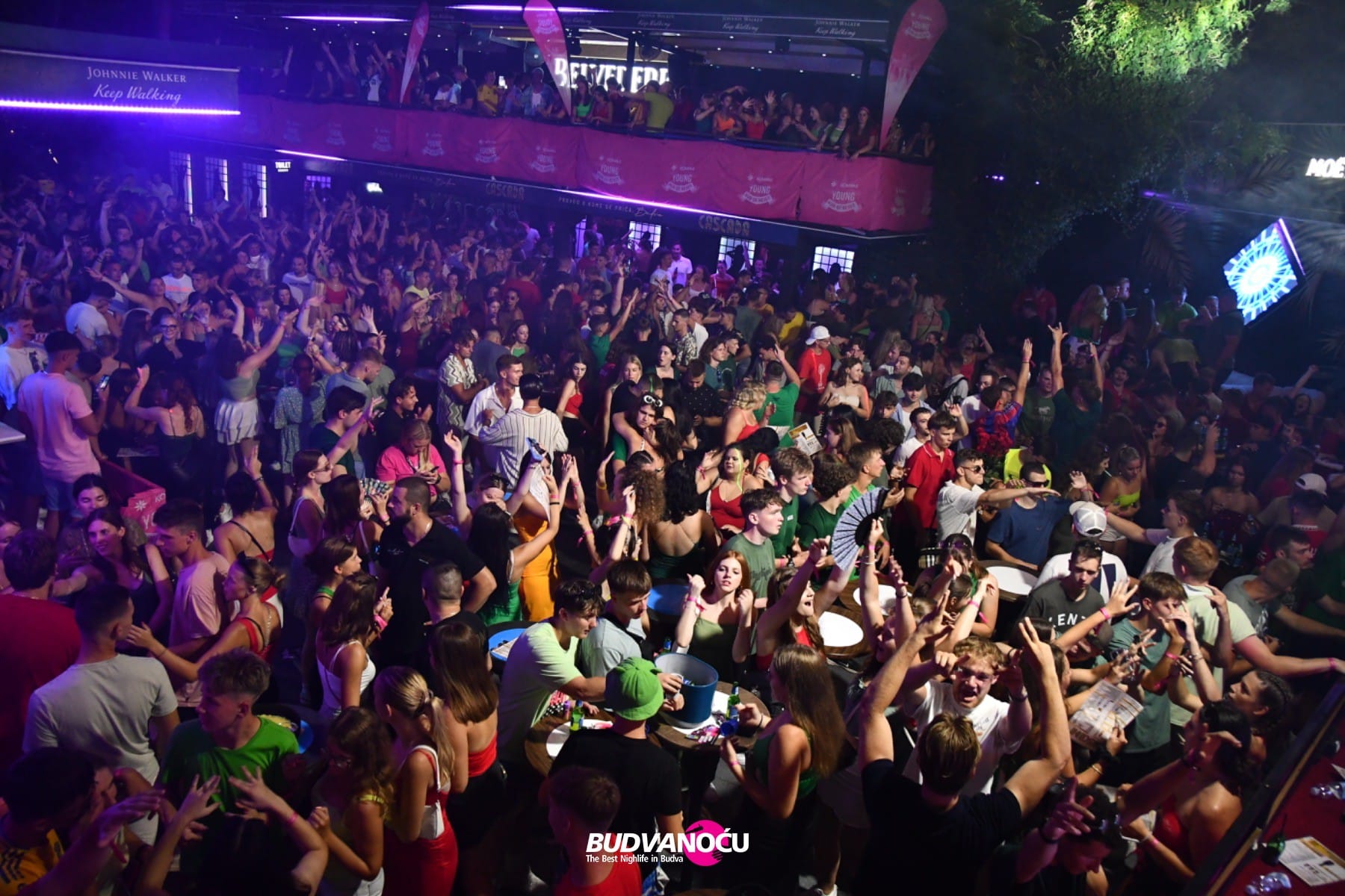 Compas Young | Cascada