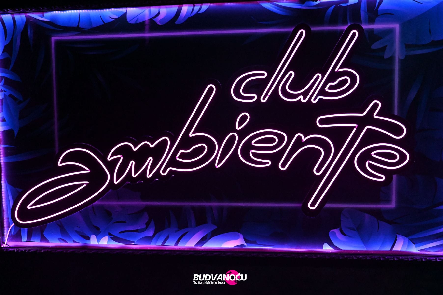 DJ Night | Ambiente Night Club